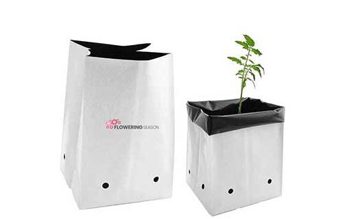 Grow Bag