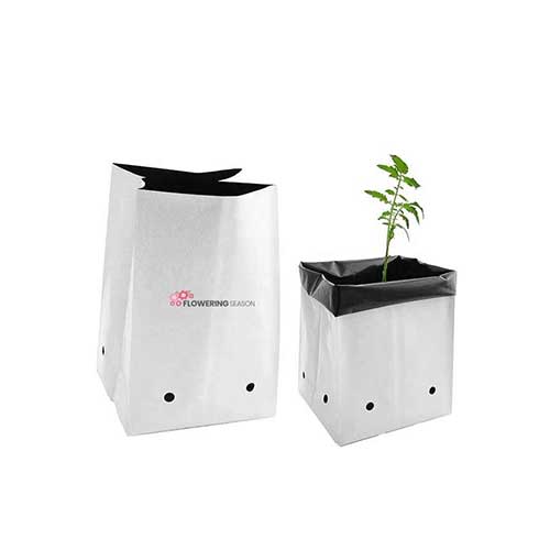 Grow Bag