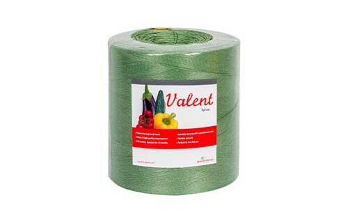 Twine